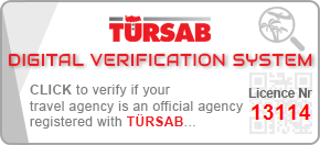 tursab-dvs-13114